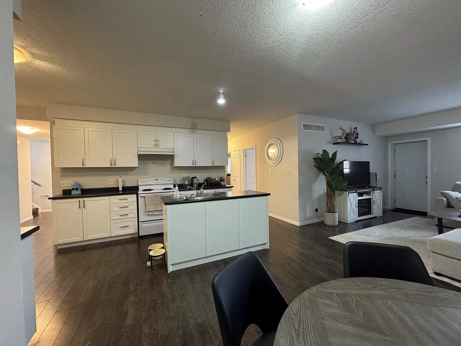 205 Rachel Crescent Kitchener — Photo 3