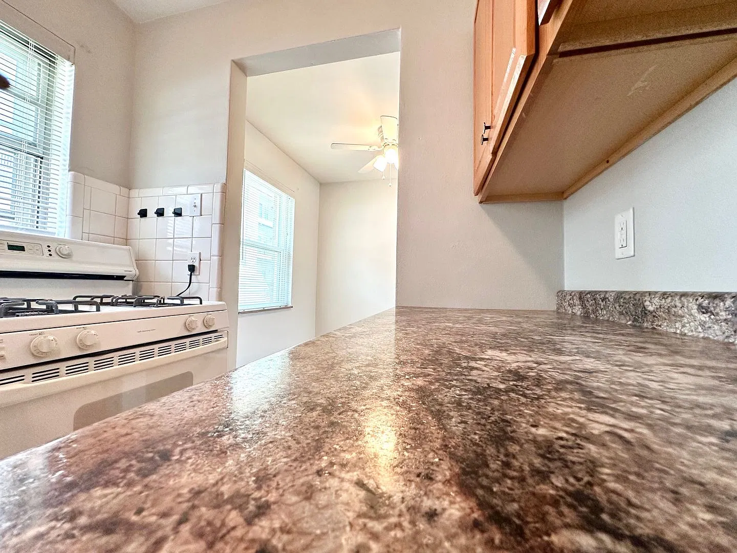 7022 Jamieson Avenue — Photo 4