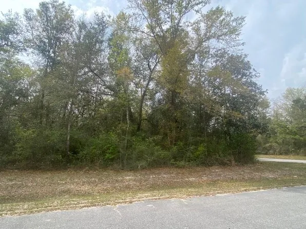 LOT 7 Seven Springs Rd, Wewahitchka, FL 32465