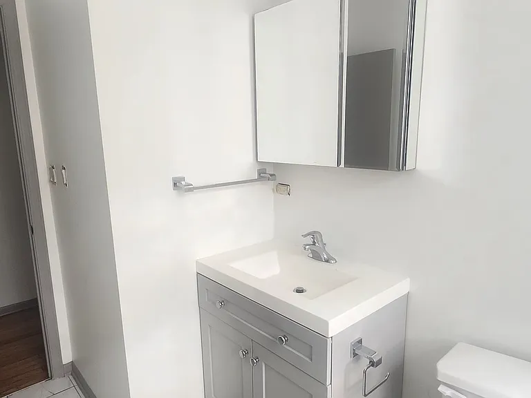 4953 S Calumet Ave #3S — Photo 6