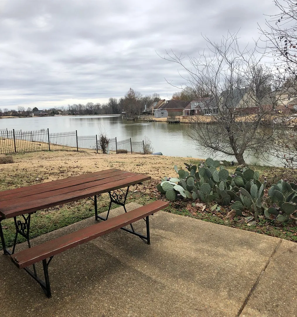 On the Lake at Plantation Lakes in Olive Branch — Photo 2