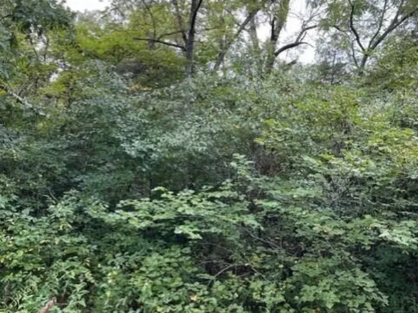 Tbd Turkey Mountain Estates #132-137, Shell Knob, MO 65747