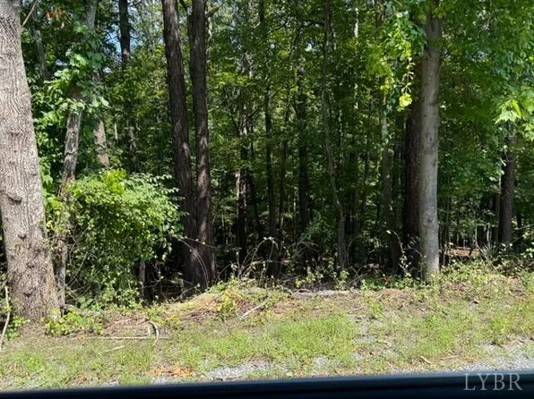 0 Fields Ave #26, Blue Ridge, VA 24064