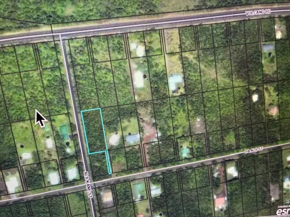Pa Alii St Lot 1598, Volcano, HI 96785