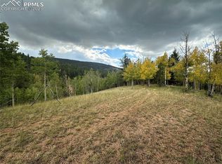 1117 Yorktown Rd, Cripple Creek, CO 80813