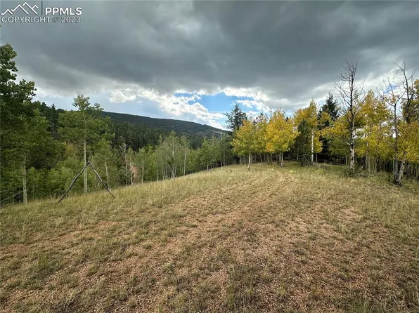 1117 Yorktown Rd, Cripple Creek, CO 80813