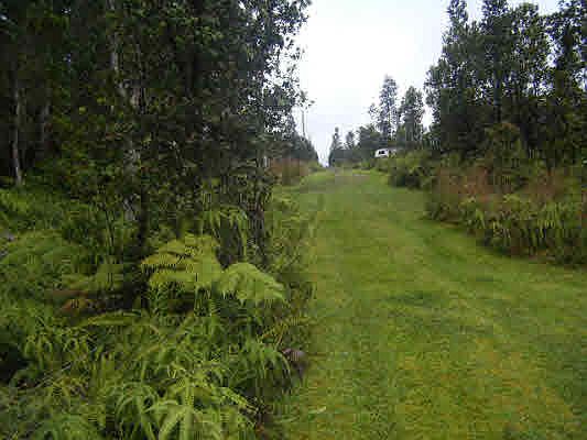 2nd image of LOT 1 Lot 1