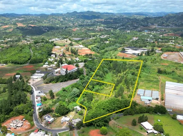 779 Saint Quebradillas, Barranquitas, PR 00794