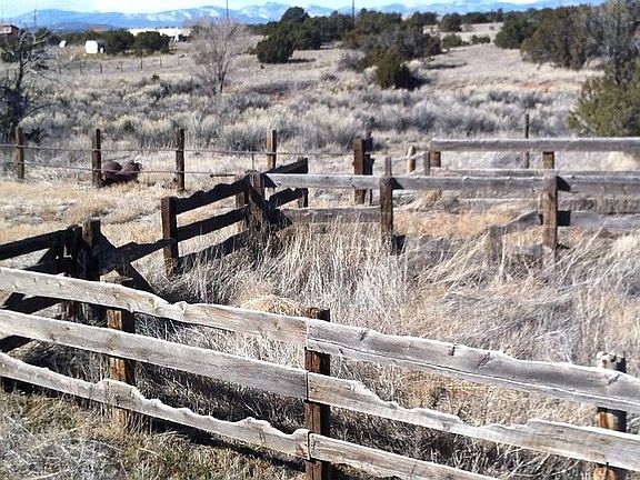 Corral