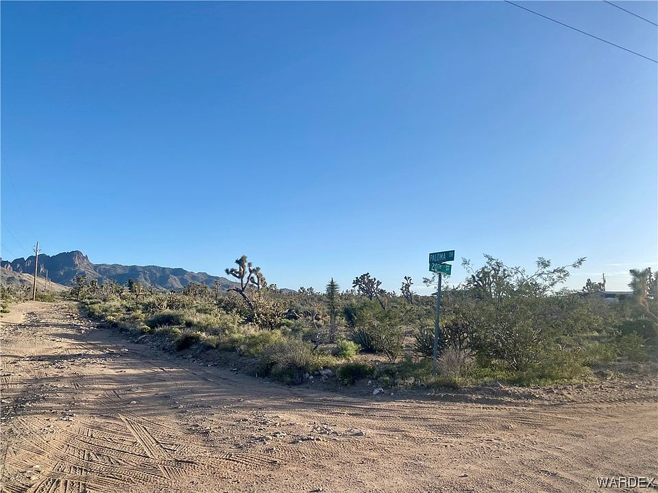 2nd image of 000 PALOMA/20TH