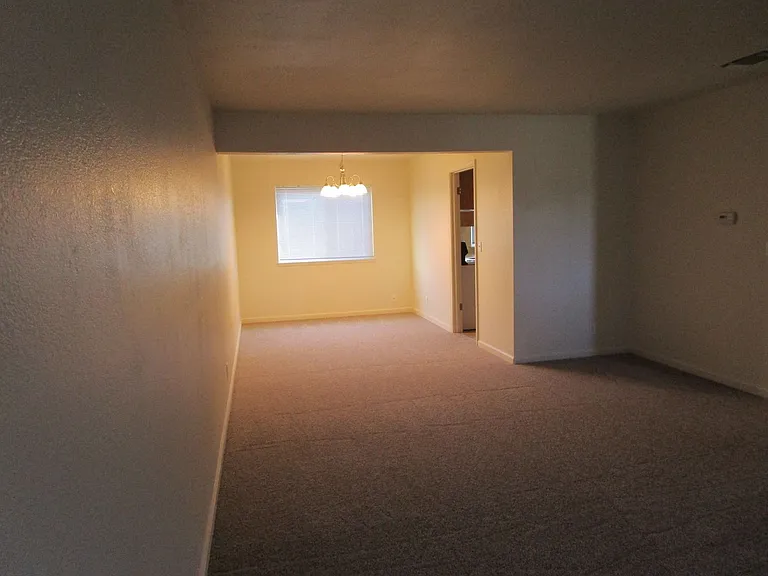 833 Scoter Way — Photo 2