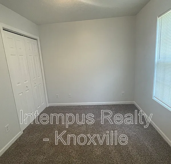 3119 Pinex Ln — Photo 12