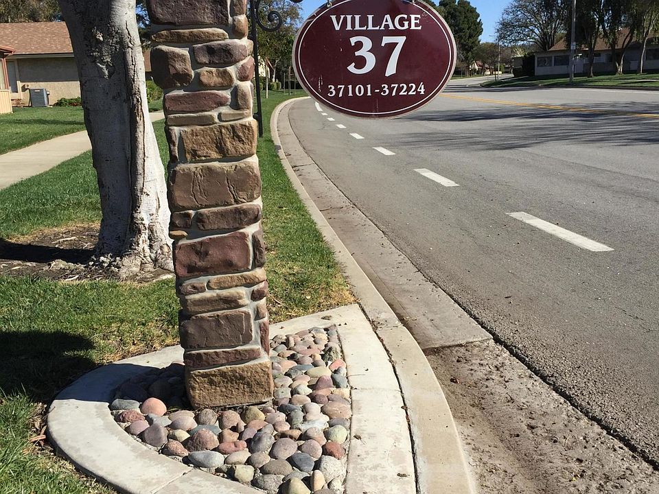 1st image of 37131 Village 37 #37