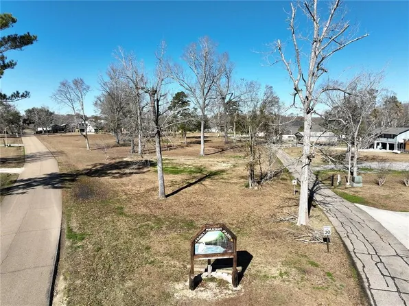 LOT 29 Swamp Dr, Springfield, LA 70462