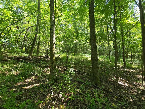 5th image of 202 Nabinger Hill Rd