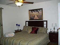 5th image of 11254 County Road 897