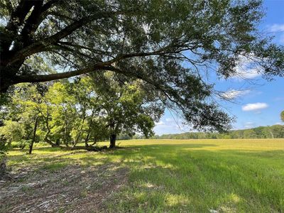 LOT 5B Rains County Rd #2420, Alba, TX, 75410