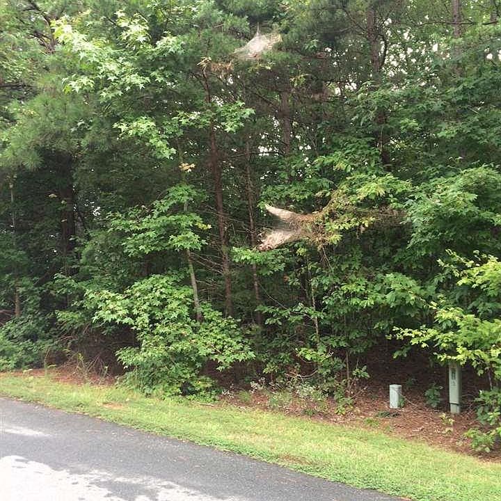 2nd image of 922 Sunstone Dr