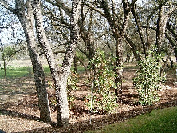 Green Belt