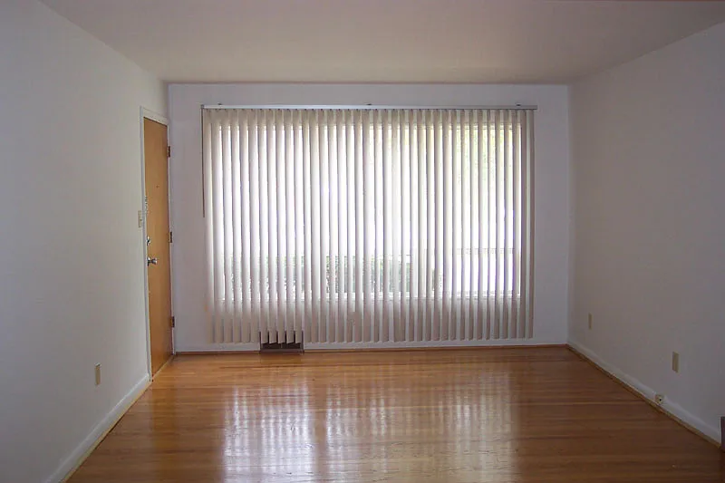 1 bed, 544 sqft, $1,145 — Photo 3