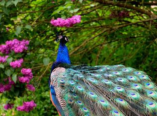 1880 SW 32nd Ct, Miami, FL 33145