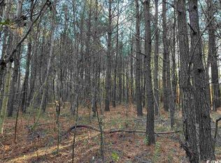 Tbt Beaver Rd, Hemingway, SC 29554