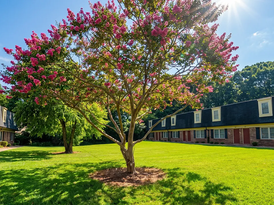 Country Club Apartments
