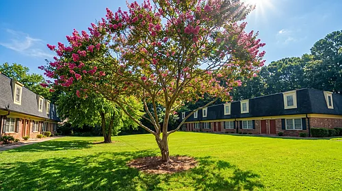 Country Club Apartments Photo 1