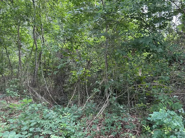 467 Williams St, Rusk, TX 75785