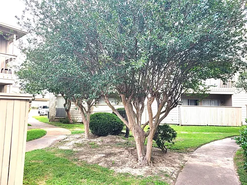 3919 Fairmont Pkwy Photo 1