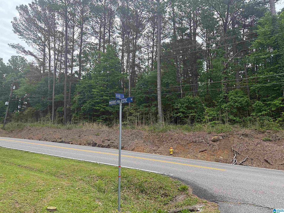 2nd image of 903 Morris Majestic Rd #New