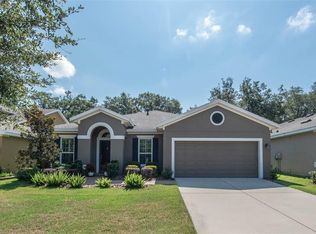 16007 Courtside View Dr, Lithia, FL 33547