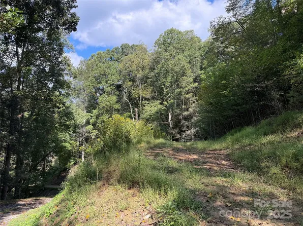 Guntertown Rd, Marshall, NC 28753