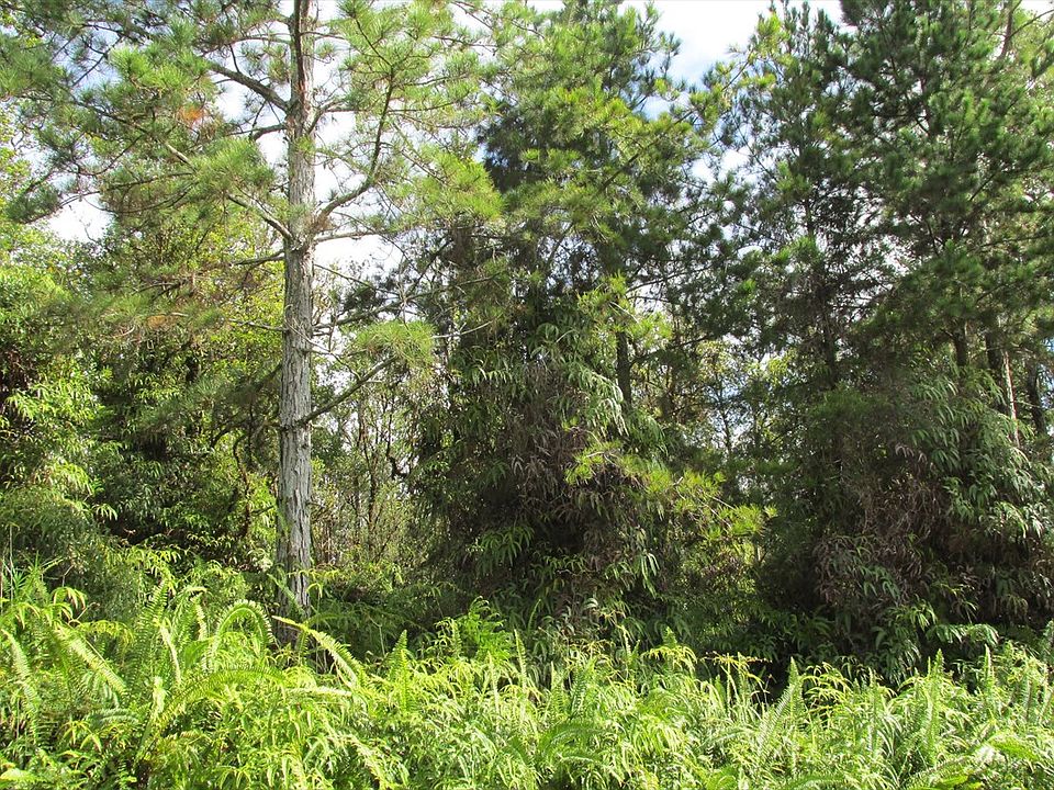 2nd image of 11-2978 Hibiscus St Lot 7375