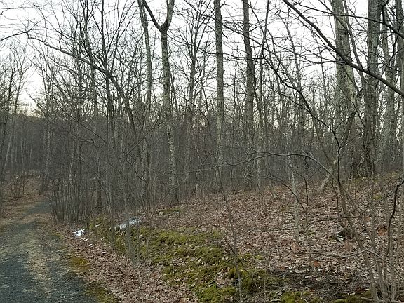 4th image of Route 299
