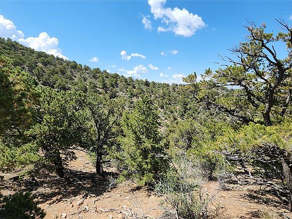 4th image of 5039 Mamouche Road