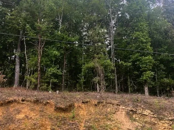 0 Highway 37, Columbiana, AL 35051