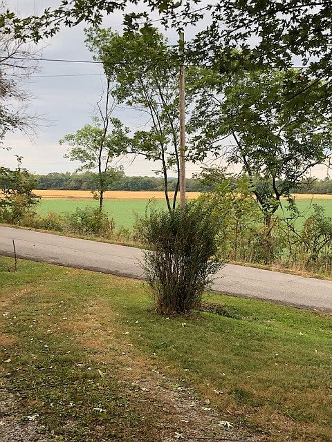view from front door