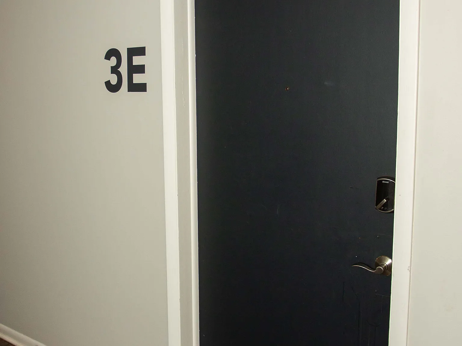 1 bed, 500 sqft, $895 — Photo 2