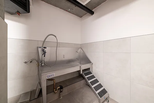 Rented by ATM Realty Service Inc | media 38