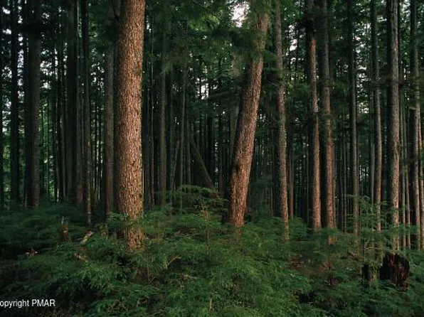 605 Mountain Rd, Blakeslee, PA 18610