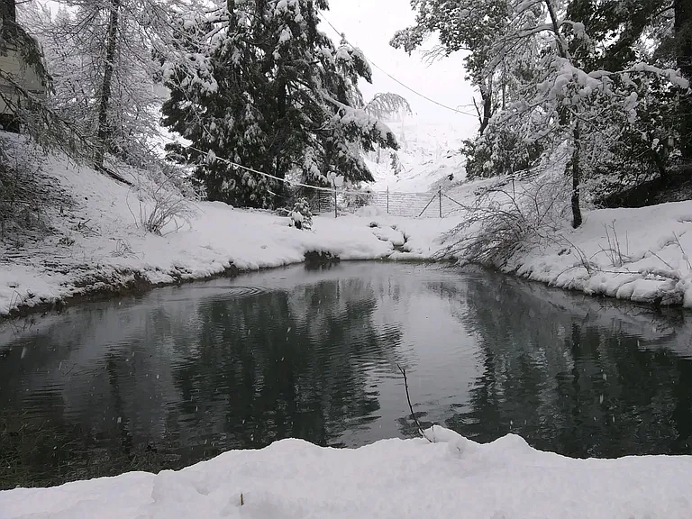 Pond with seasonal creek