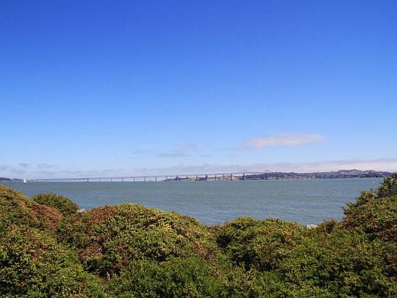 Park/Bridge View