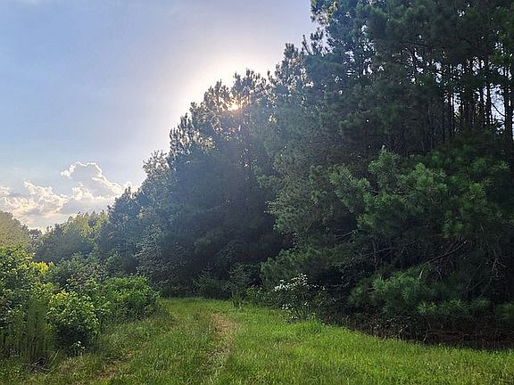 3rd image of 0 County Road 414