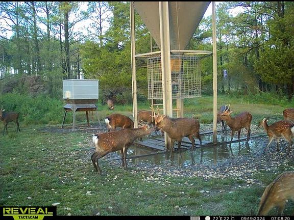 4th image of 2373 Asquith Island Rd