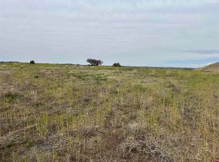 Tbd Highway 184, Lewis, CO 81327