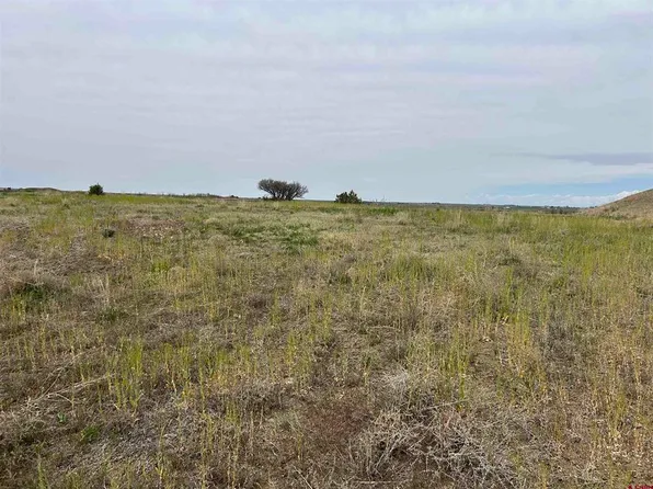TBD Hwy 184, Lewis, CO 81327