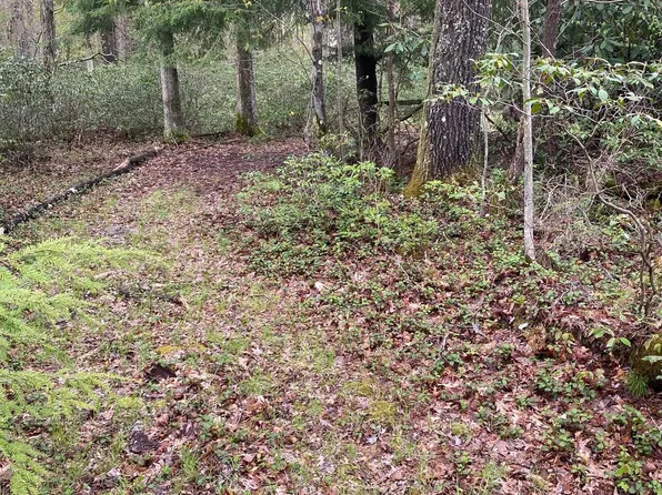 34 Black Oak Dr, Oakland, MD 21550