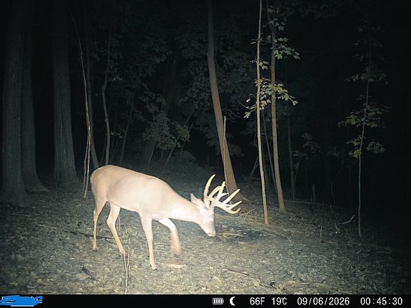 3rd image of 43167 Guthrie Rd