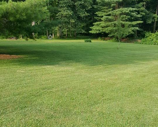 Yard